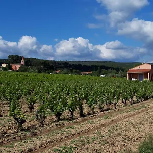 Au Milieu Des Vignes Le Castellet (Var)